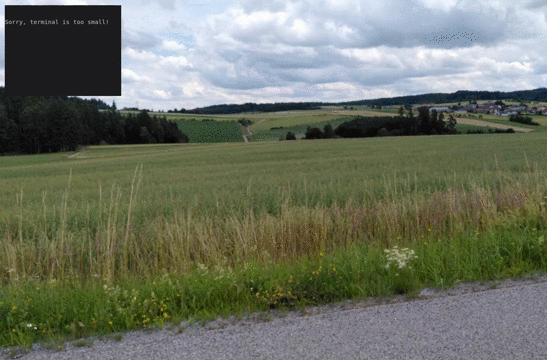 An animated gif of a terminal window being resized with the UI changing depending on the window size